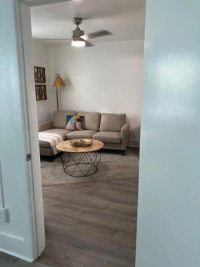 Beautiful Apartment 307 in a 100 year old building